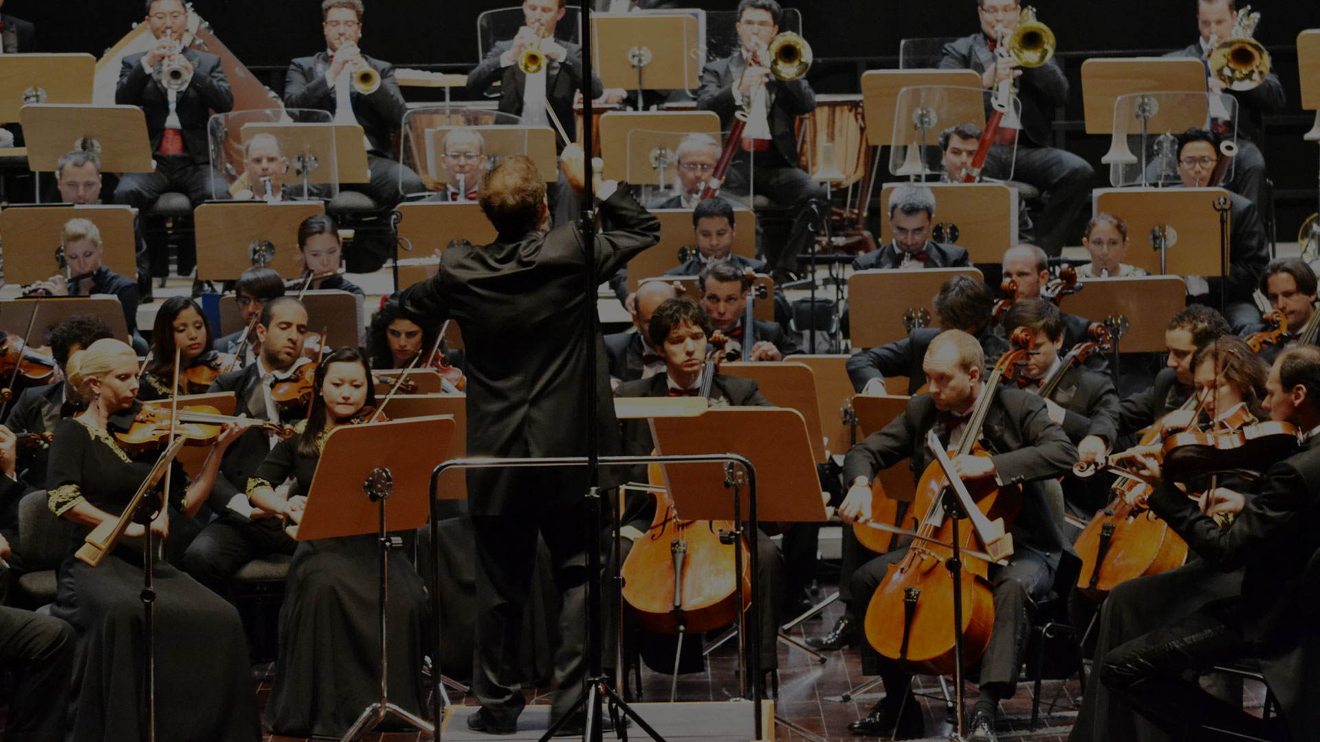 About Us Qatar Philharmonic Orchestra